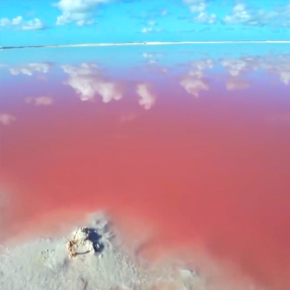 Las Coloradas